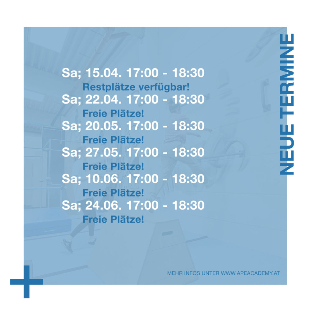 Frauentraining Parkour und Freerunning Fitness Wien